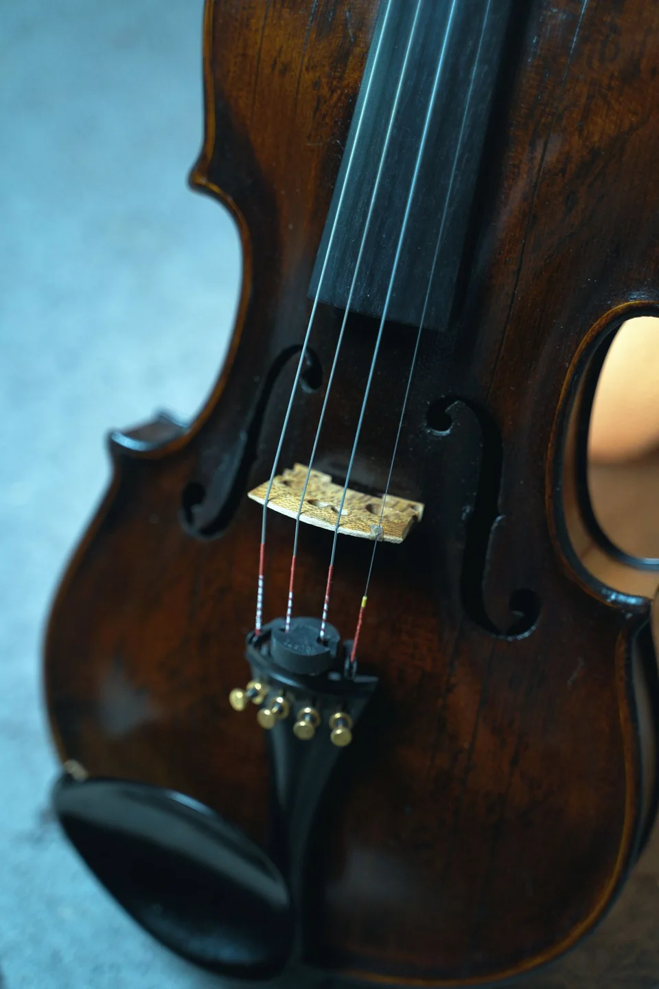 Imagem ilustrativa: cordas e cavalete de um violino.